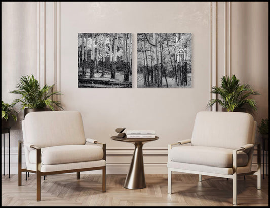 Elked Aspen 1&2