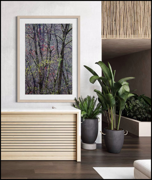 Early Spring