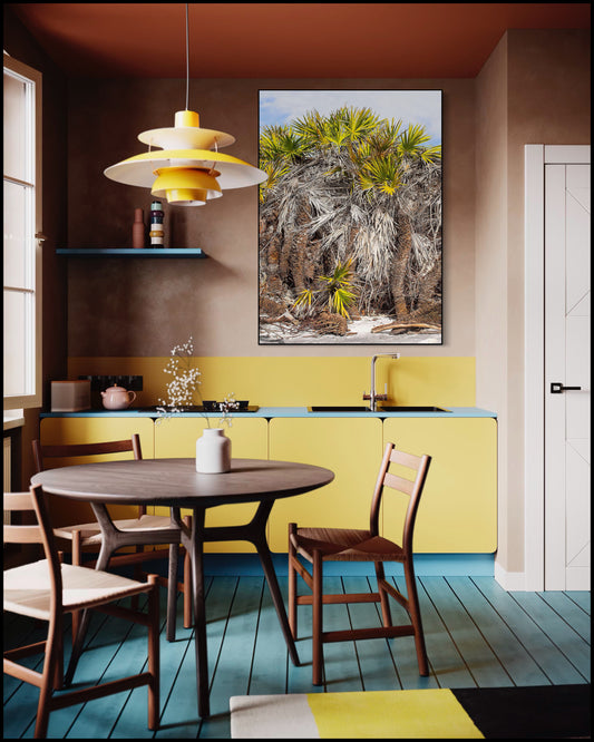 Palmetto Roots